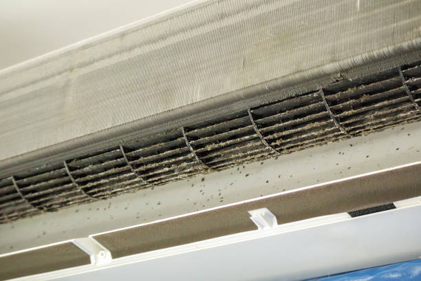 Ventilation Cleaning Services in Hilmar Irwin, CA